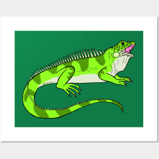 Iguana Posters and Art